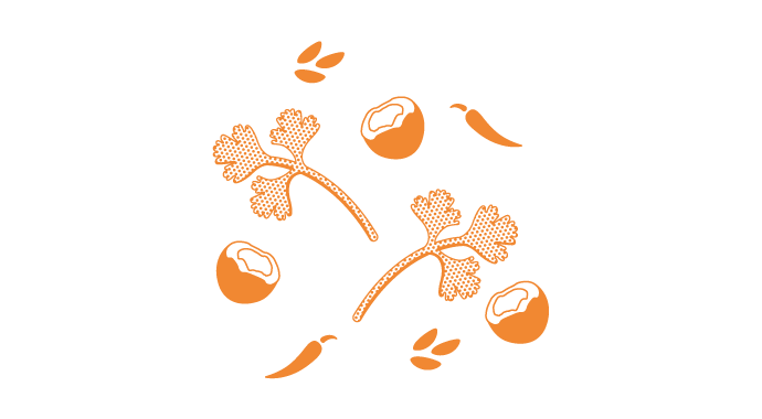 Great British Butcher ingredients illustrations for their Crunchy Curry Crumb. The illustration is of an 2 large coriander leaves, 3 coconuts and 2 chillis, in 2 colours; orange and cream.