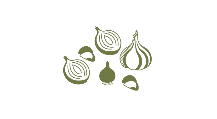 Great British Butcher ingredients illustrations for their Roast Garlic and 3 Onion Crumb. The illustration is of a large whole garlic, some garlic cloves, 2 half onions and 1 whole onion, in 2 colours; dark green and cream.